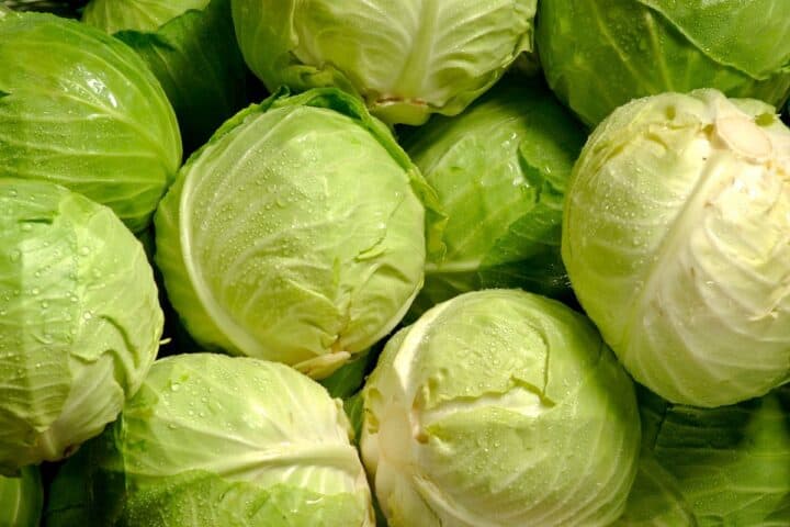 10 Reasons Cabbage is the Underrated Superfood
