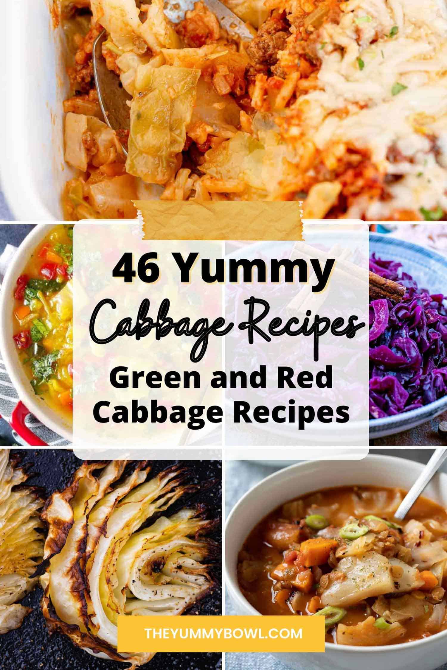 Best Cabbage Recipes Roundup - The Yummy Bowl