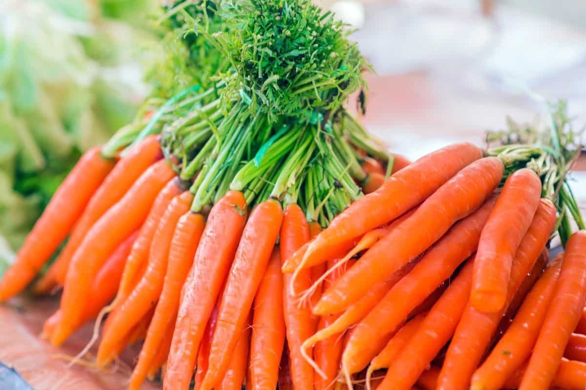 Bunches of fresh orange carrots with leafy green tops at a farmers' market.