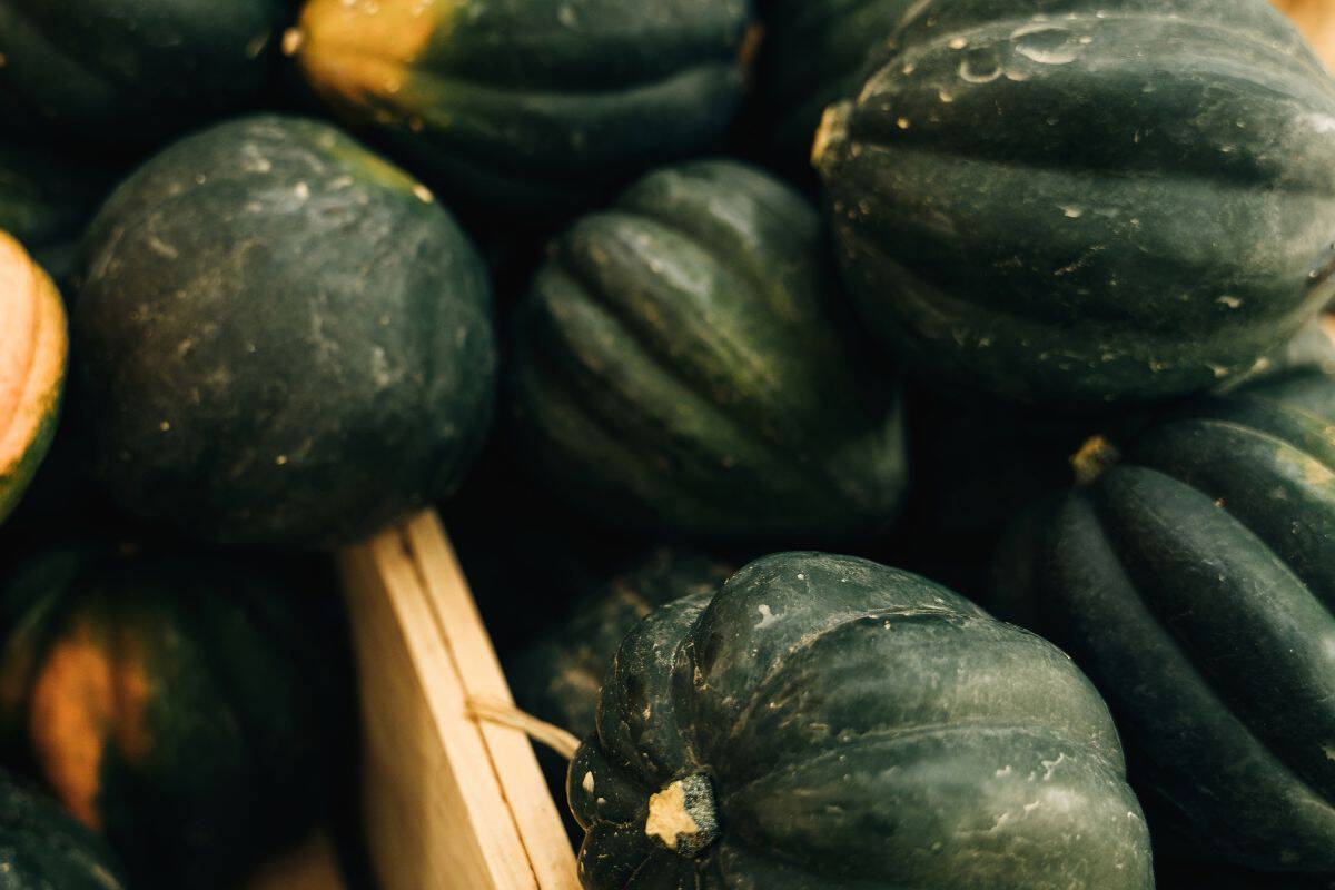 Dark green acorn squash piled together in a wooden crate.