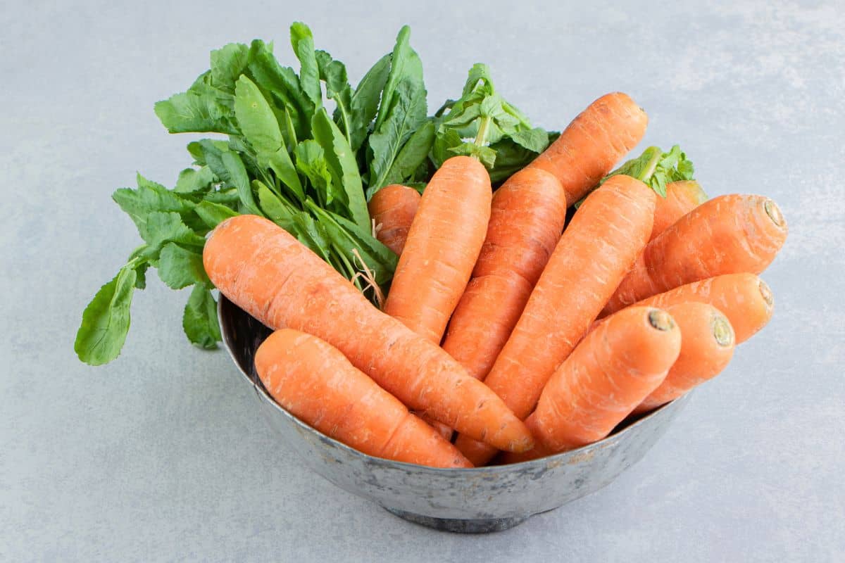 Fresh carrots with leafy green tops arranged in a metal bowl.