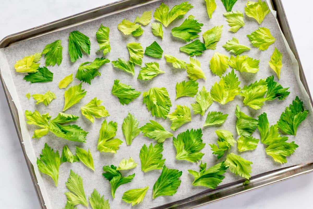fresh celery leaves in baking sheet