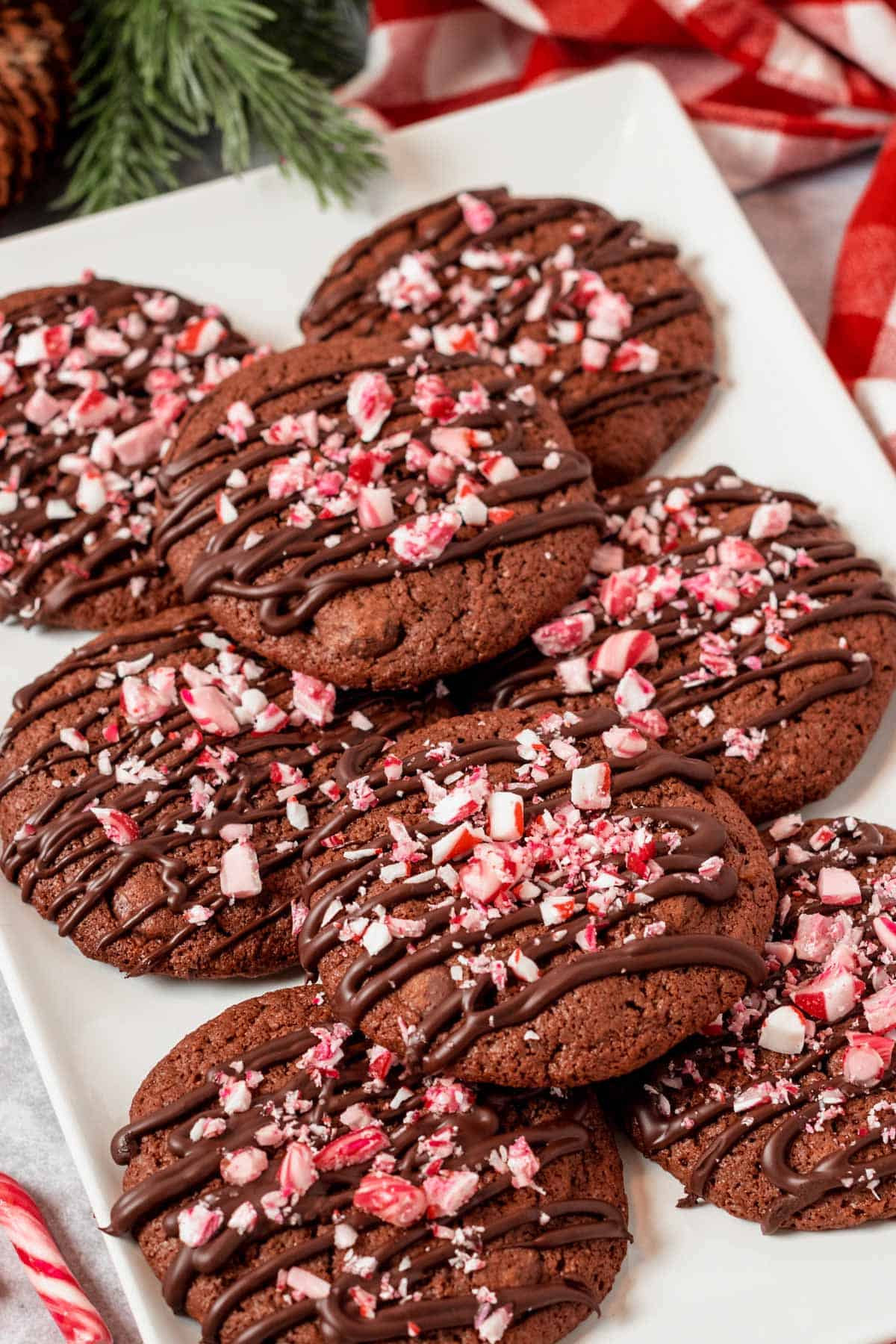 Gluten Free Chocolate Chip Cookies With Peppermint on a plate