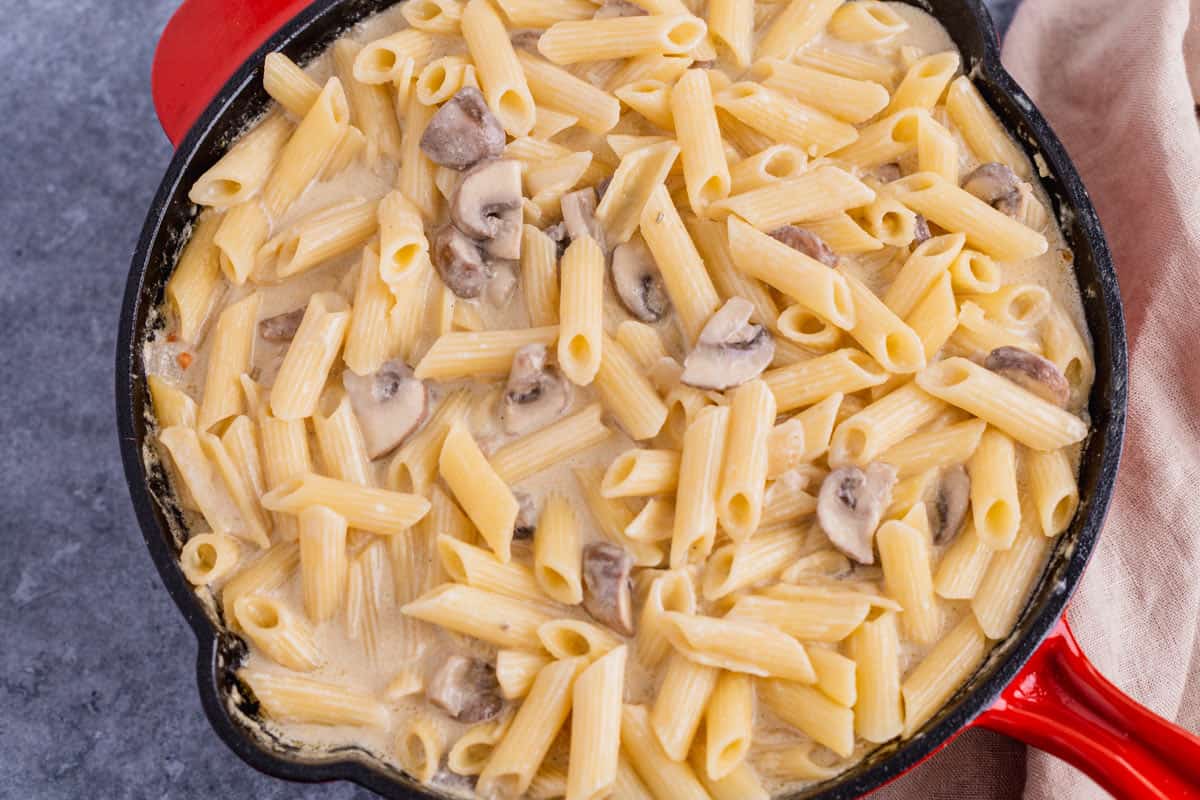 pasta and mushrooms in creamy sauce