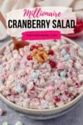 Millionaire Cranberry Salad Pinterest