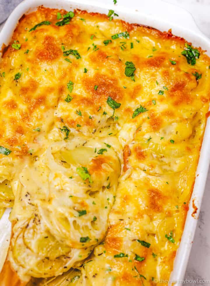 Creamy Au Gratin Potatoes - The Yummy Bowl