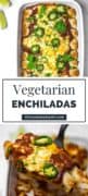 Vegetarian Enchiladas (with Black Bean and Sweet Corn)