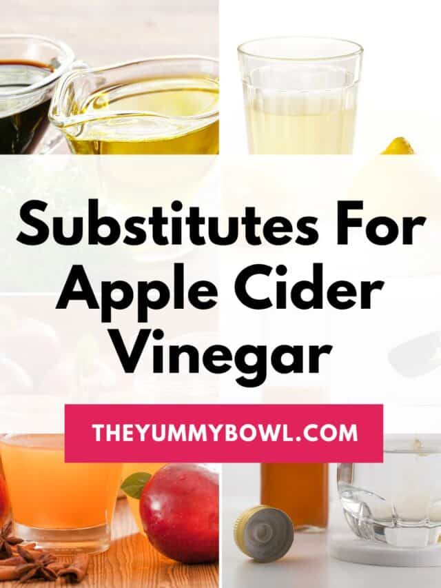 alternatives for apple cider vinegar.