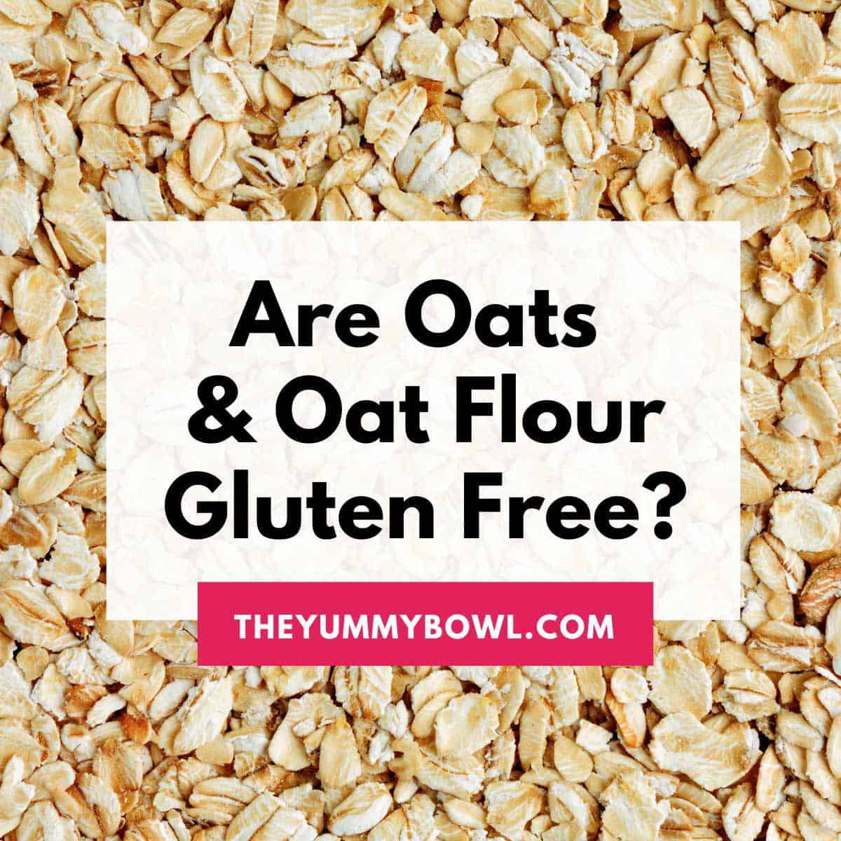 Oats Debunked: Are Oats and Oat Flour Gluten Free? - The Yummy Bowl