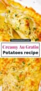 cheesy and creamy potato au gratin in a white rectangular baking dish