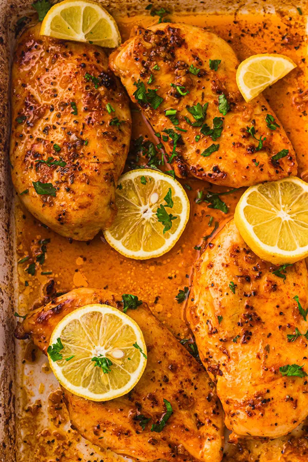 Oven baked chicken breasts with lemon slices and herbs.