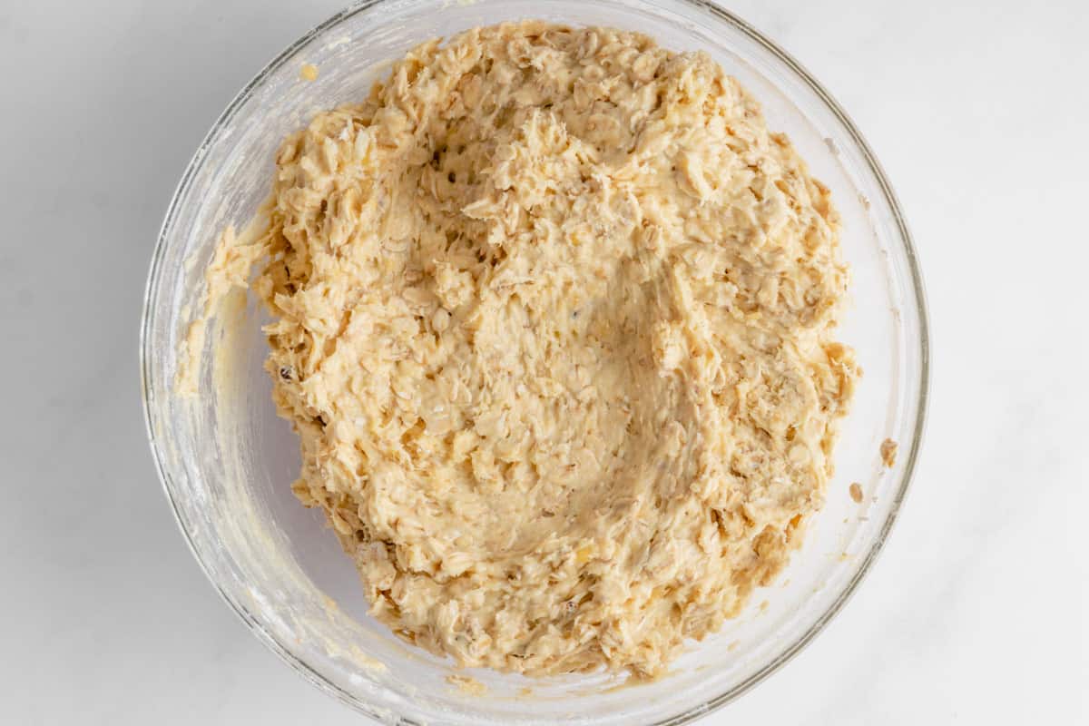 oatmeal cookie batter