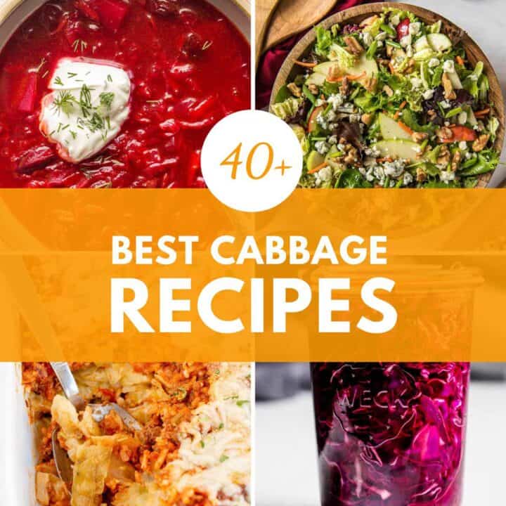 best cabbage recipes with green and red cabbage.