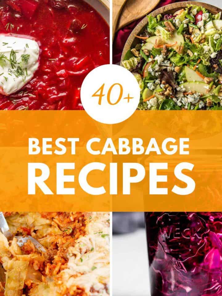 best cabbage recipes with green and red cabbage.
