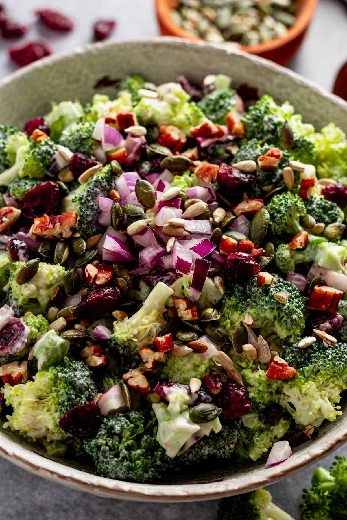 dressed broccoli cranberry salad in serving bowl.
