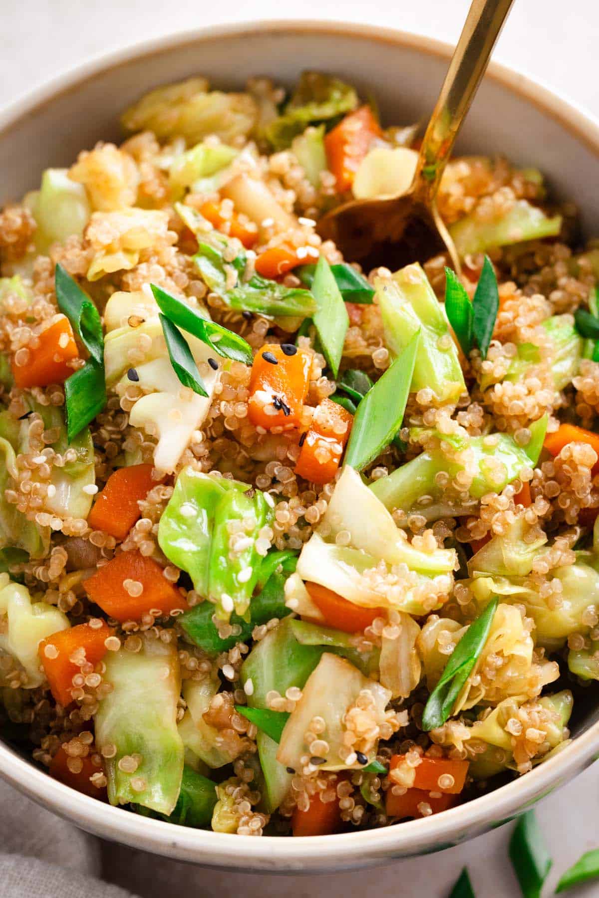 cabbage and quinoa stir fry