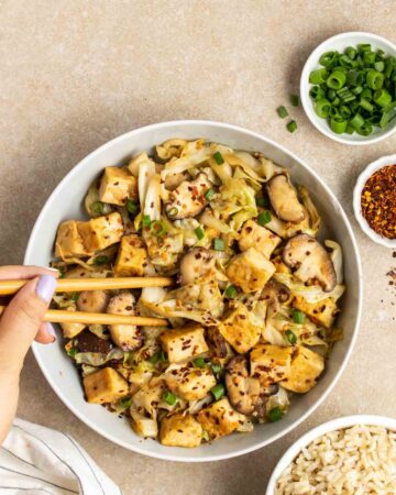 cabbage-tofu-stir-fry-plate-My-Plantiful-Cooking