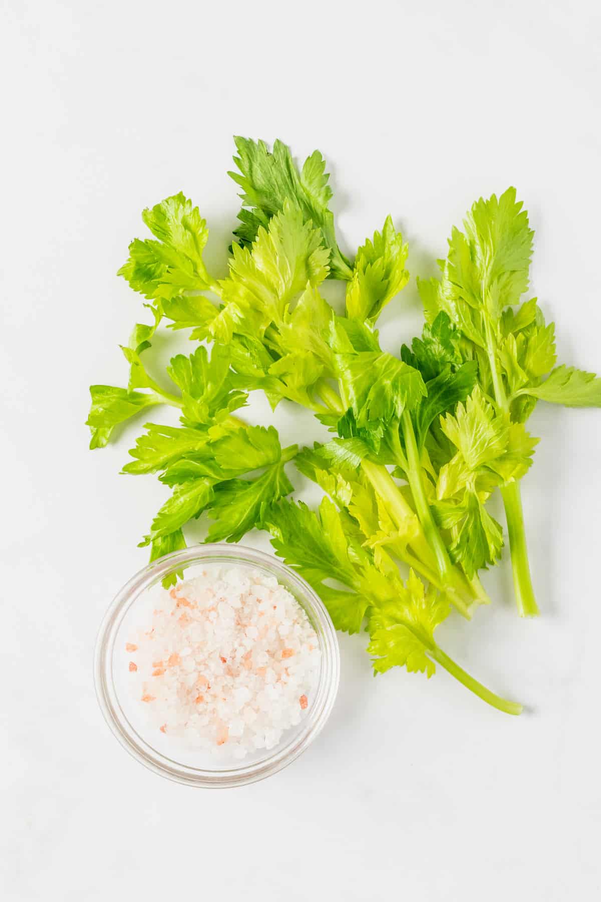 Celery Salt Ingredients