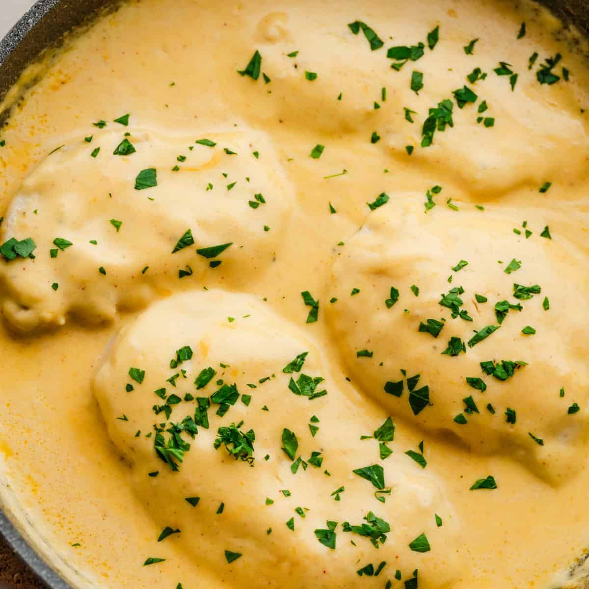 Creamy Chicken Breast In Cheddar Cheese Sauce