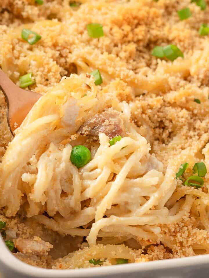 Chicken pasta tetrazzini.