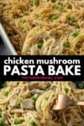 Chicken And Mushroom Pasta Bake (Chicken Tetrazzini)