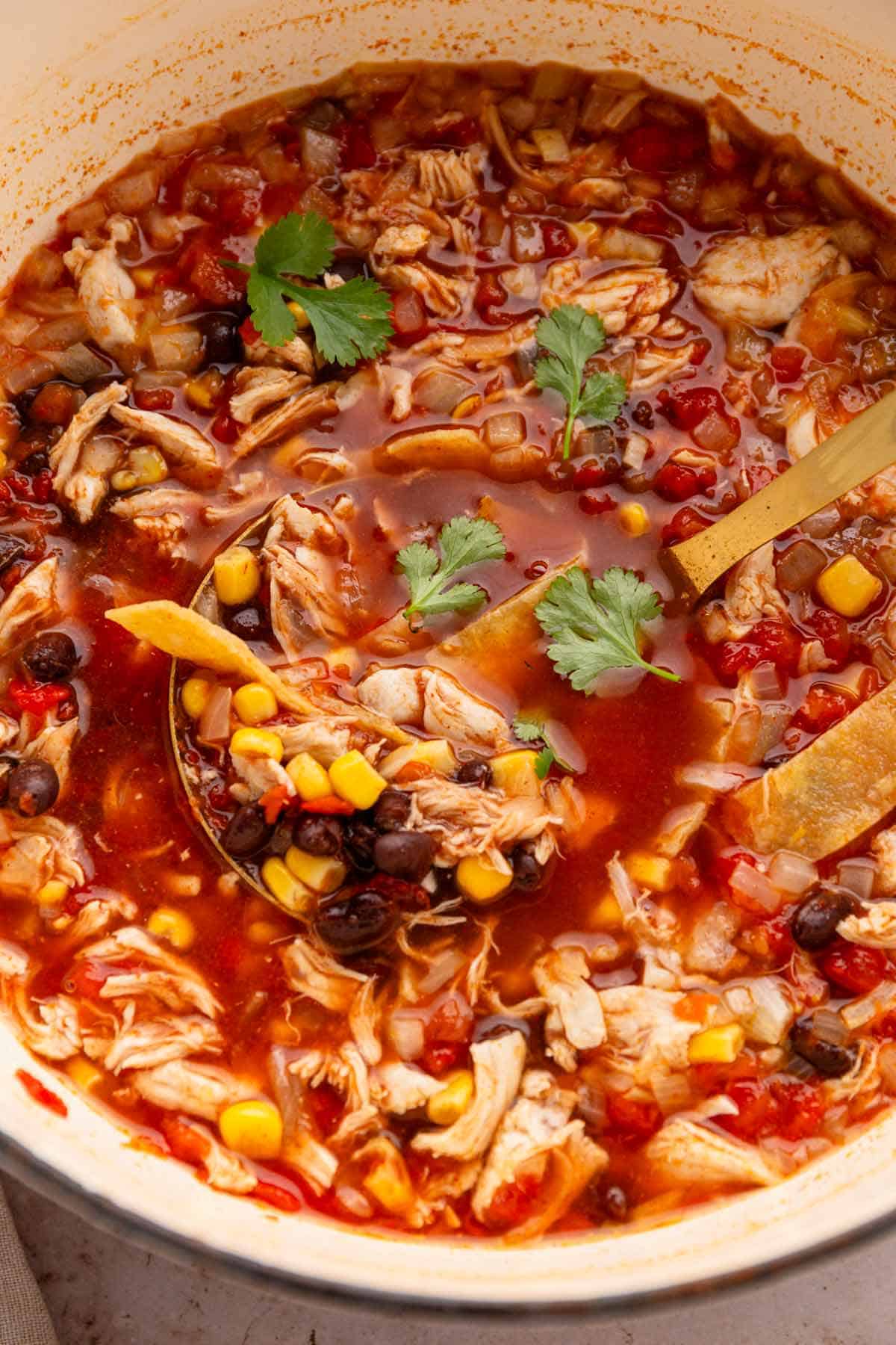 cooked mexican chicken tortilla soup.