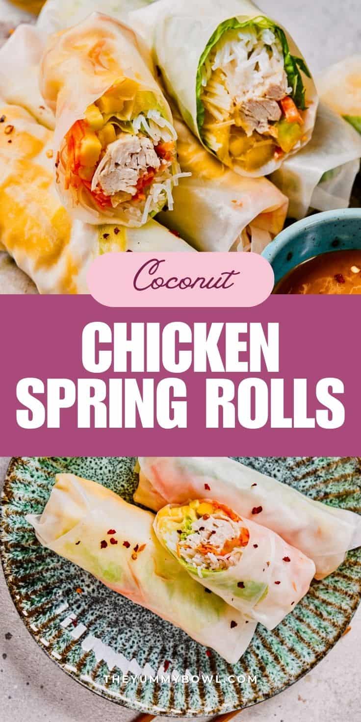 Healthy & Homemade Chicken Spring Rolls with Noodles