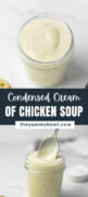 Homemade Condensed Cream of Chicken Soup