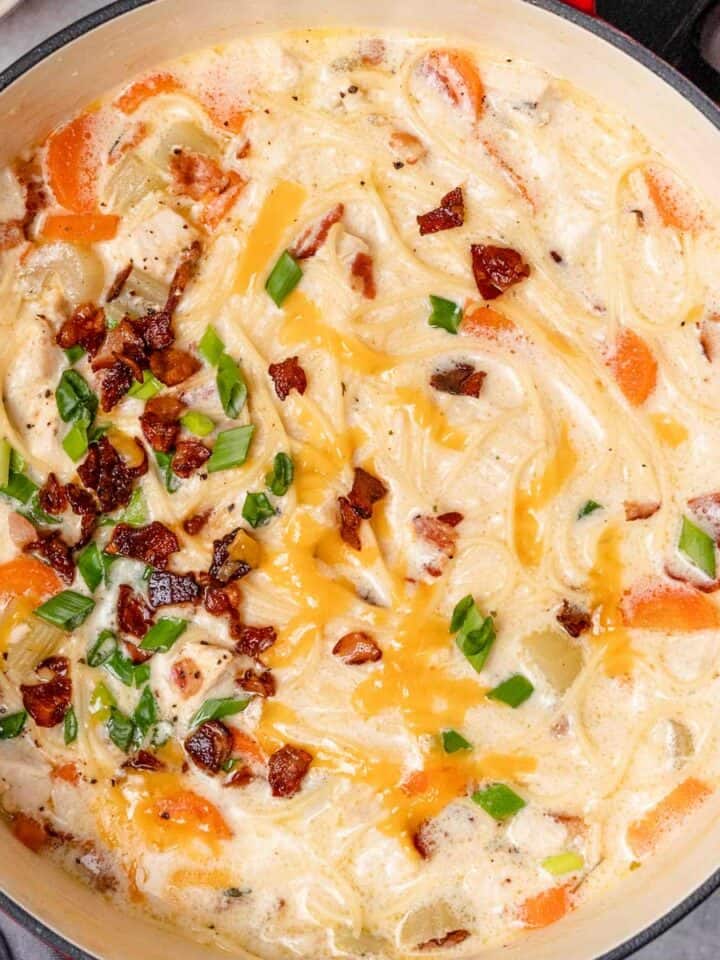 crack chicken noodle soup pot.