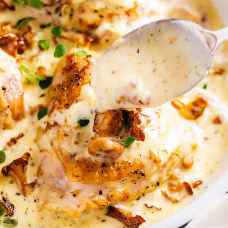 creamy chanterelle sauce with chicken thighs.