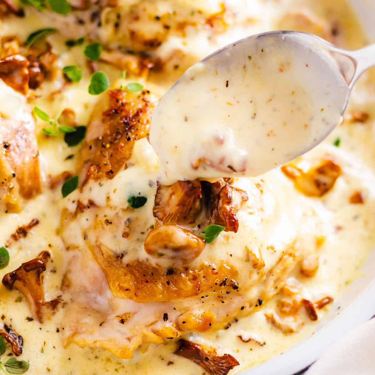 creamy chanterelle sauce with chicken thighs.