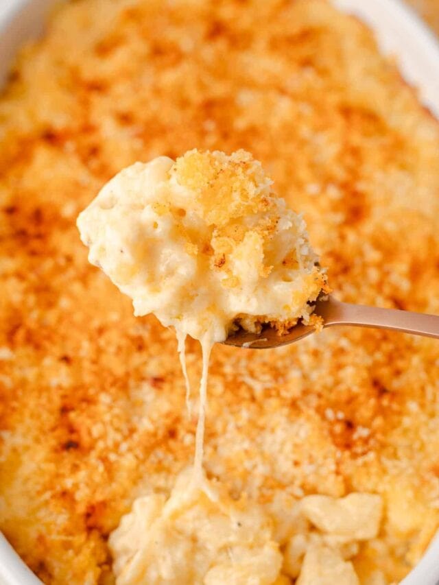 macaroni in cheesy sauce.