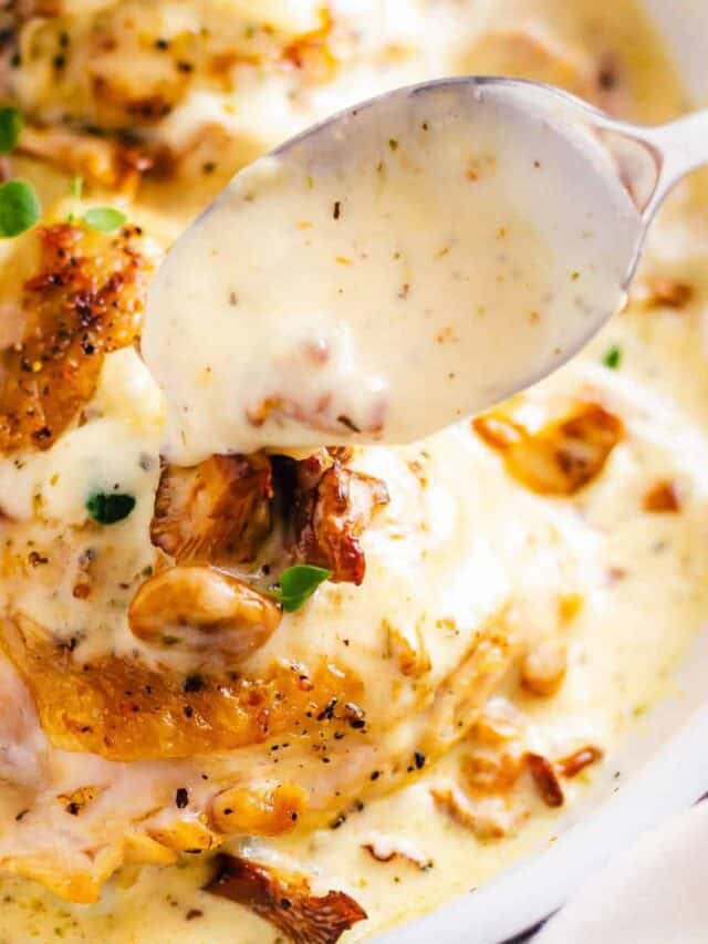 creamy chanterelle sauce with chicken thighs.