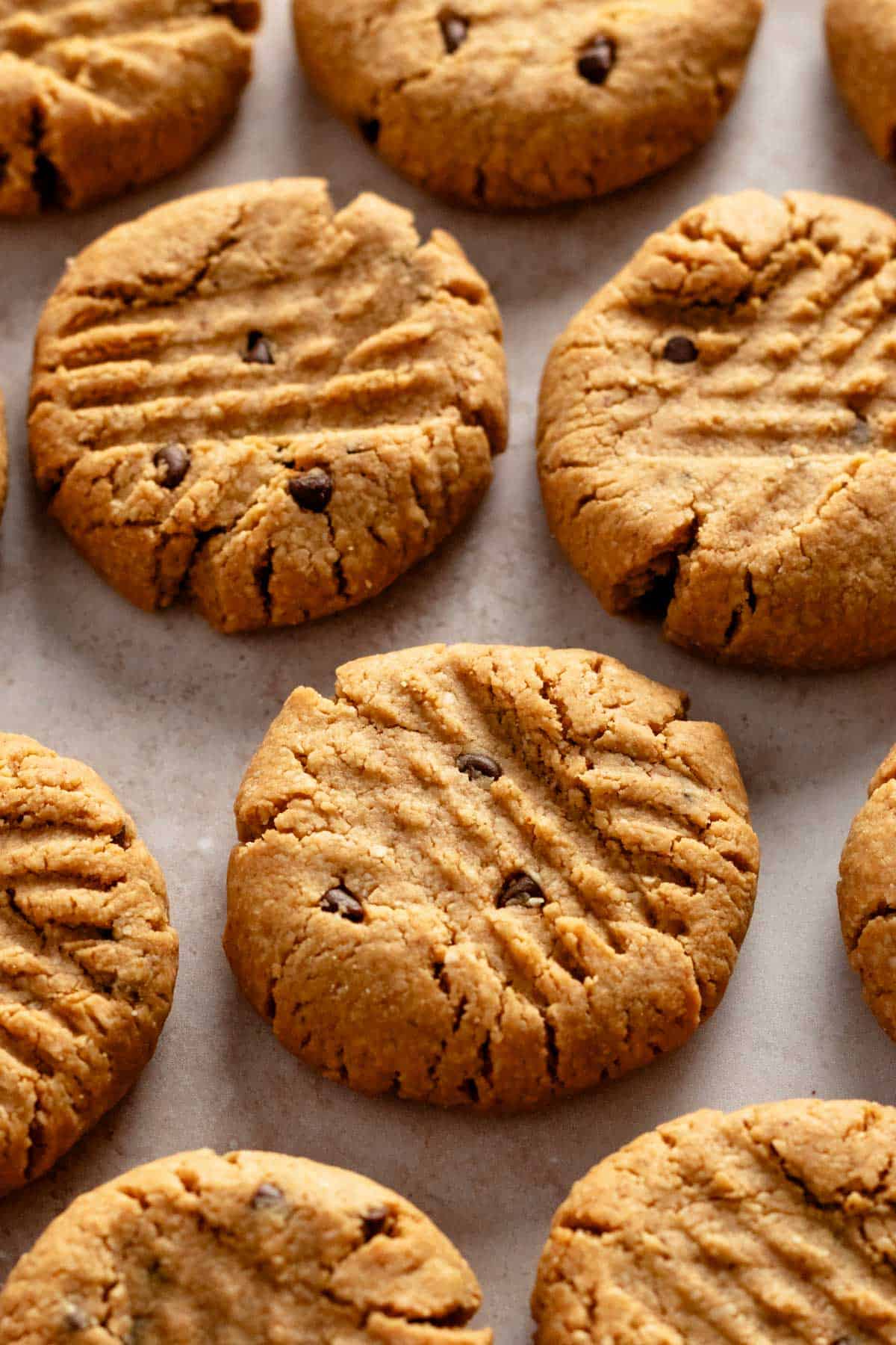 several peanut butter chocolate chip cookies.