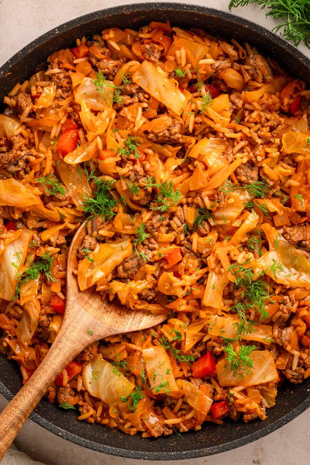 Cabbage Ground Beef and Rice.