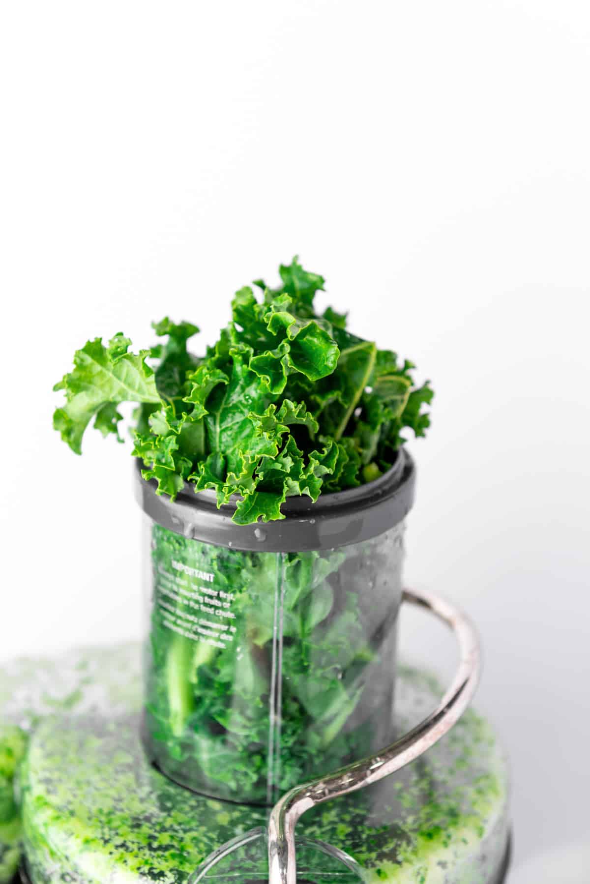 kale leaves in juicer