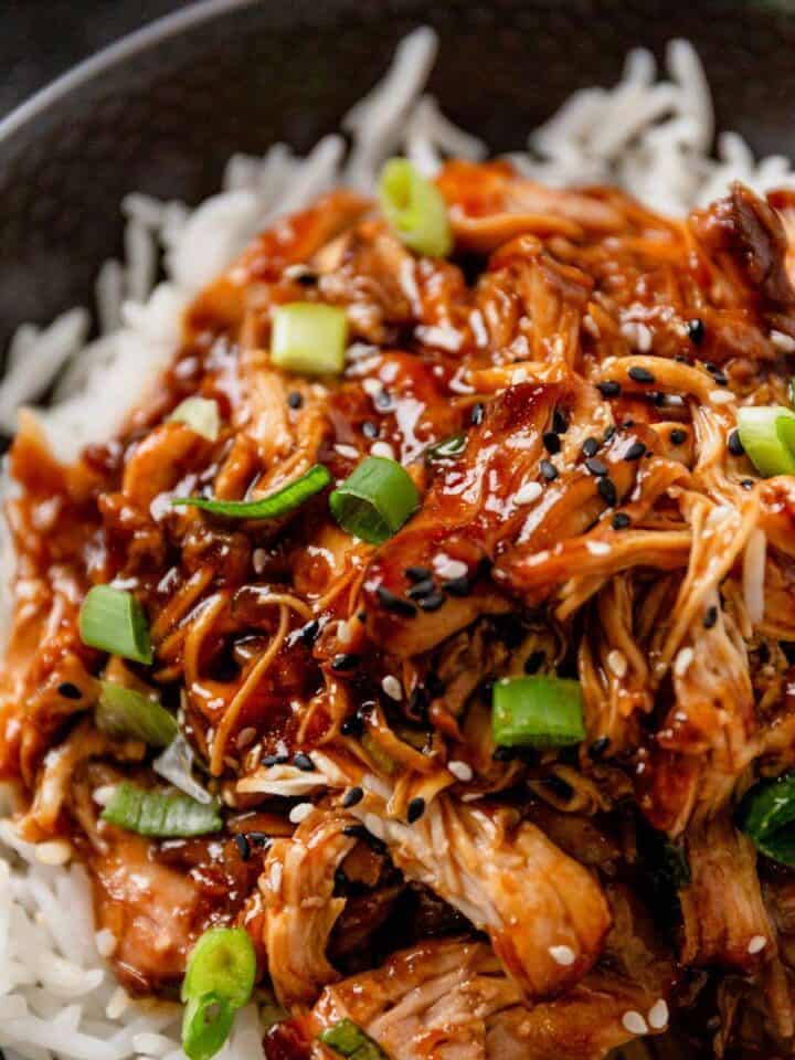 slow cooker honey garlic chicken thighs