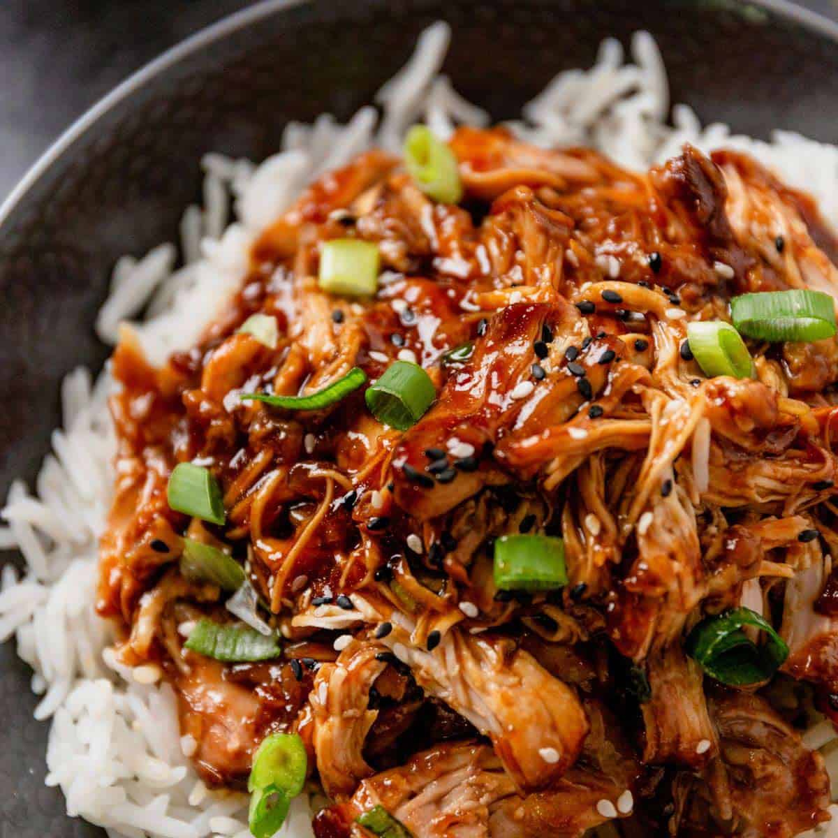 Slow Cooker Honey Garlic Chicken Thighs-image