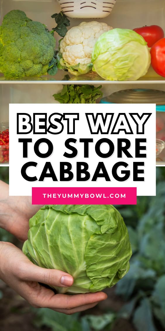 How To Store Cabbage Best Tips   How Store Cabbage Tips 