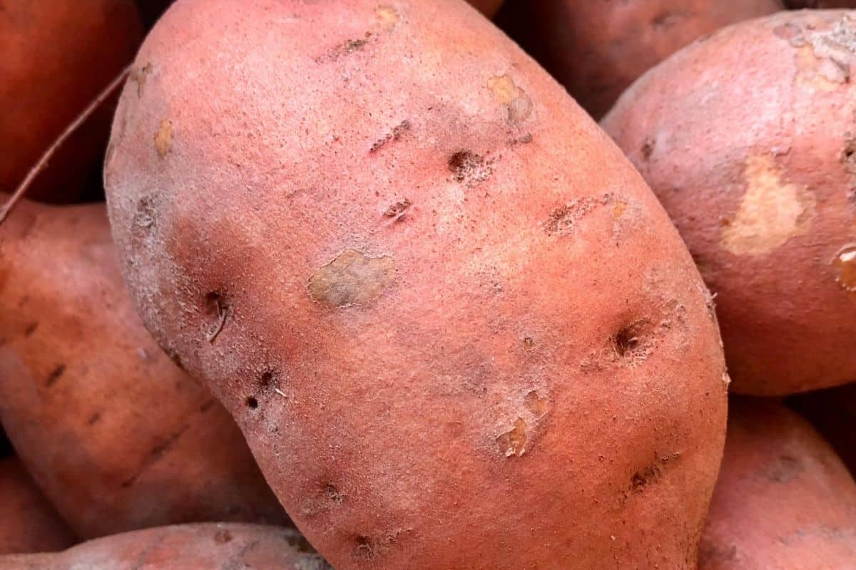 raw sweet potatoes.