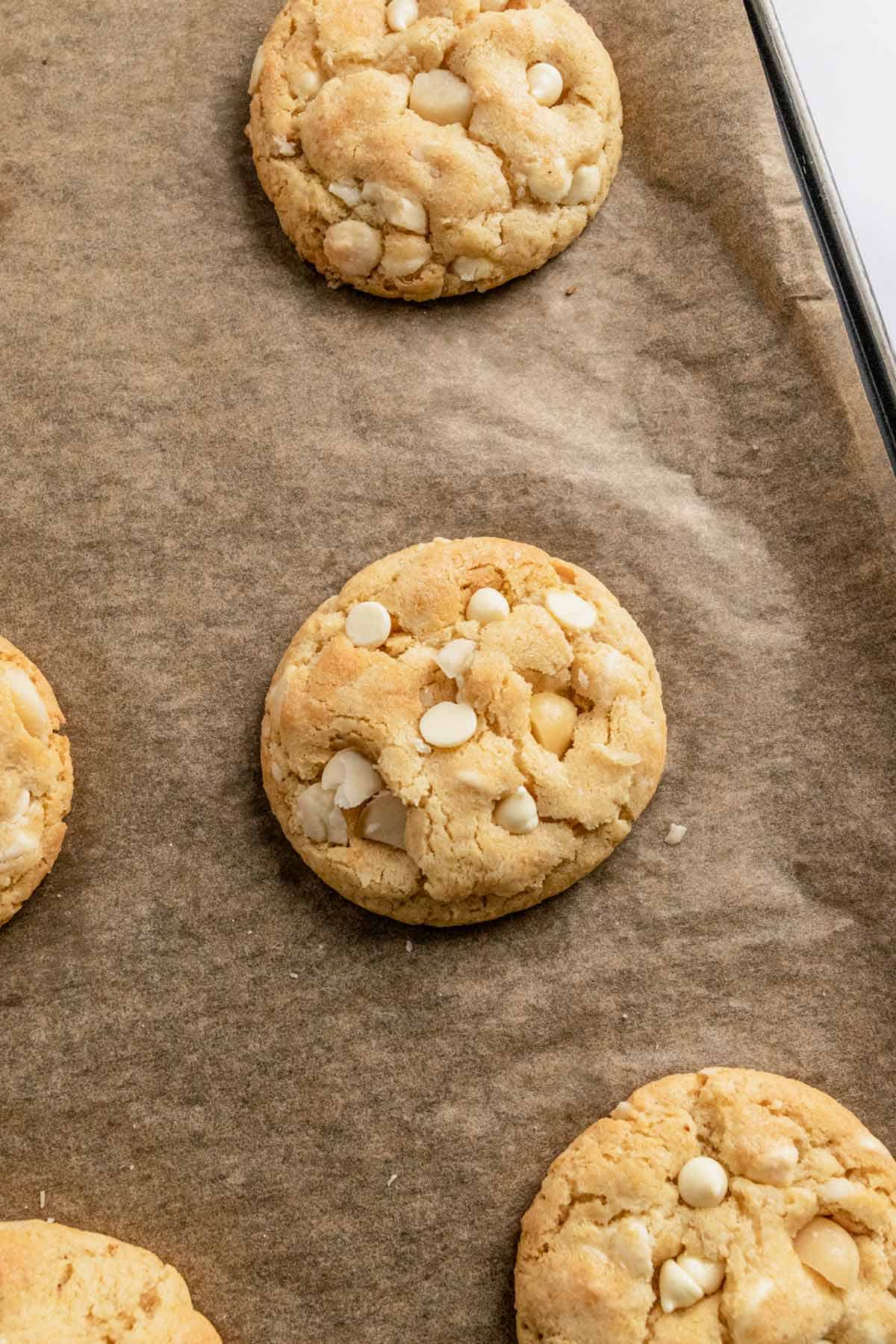 macadamia nut cookies on baking sheet