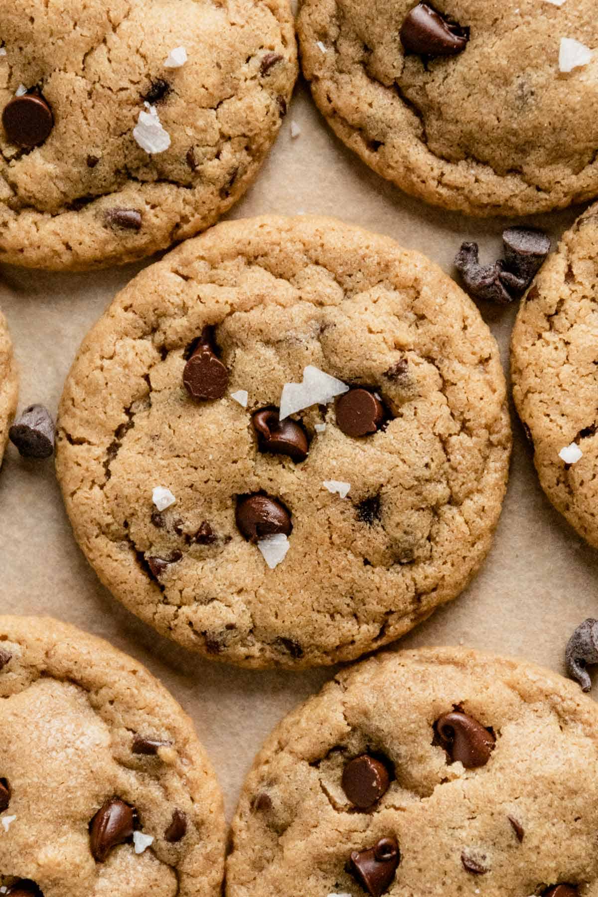 chewy mini chocolate chip cookies