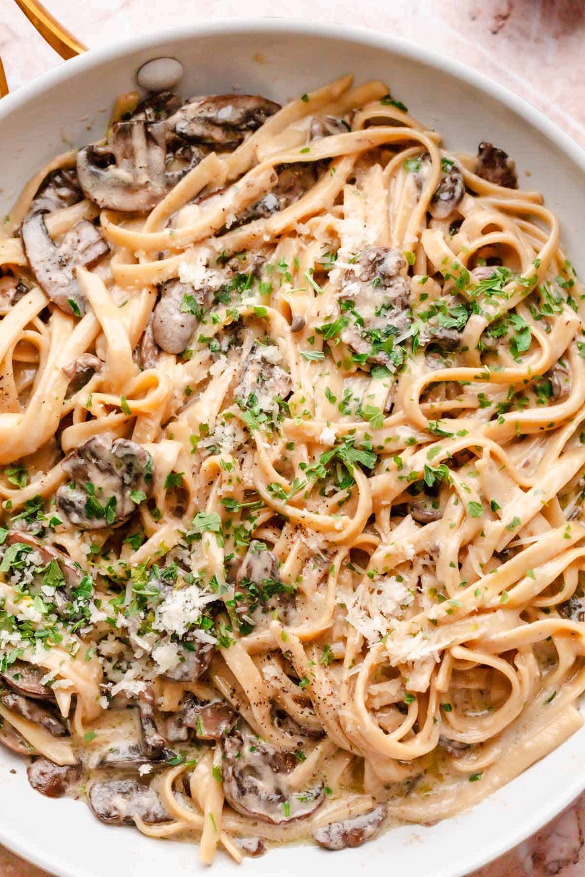 Mushroom fettuccine.