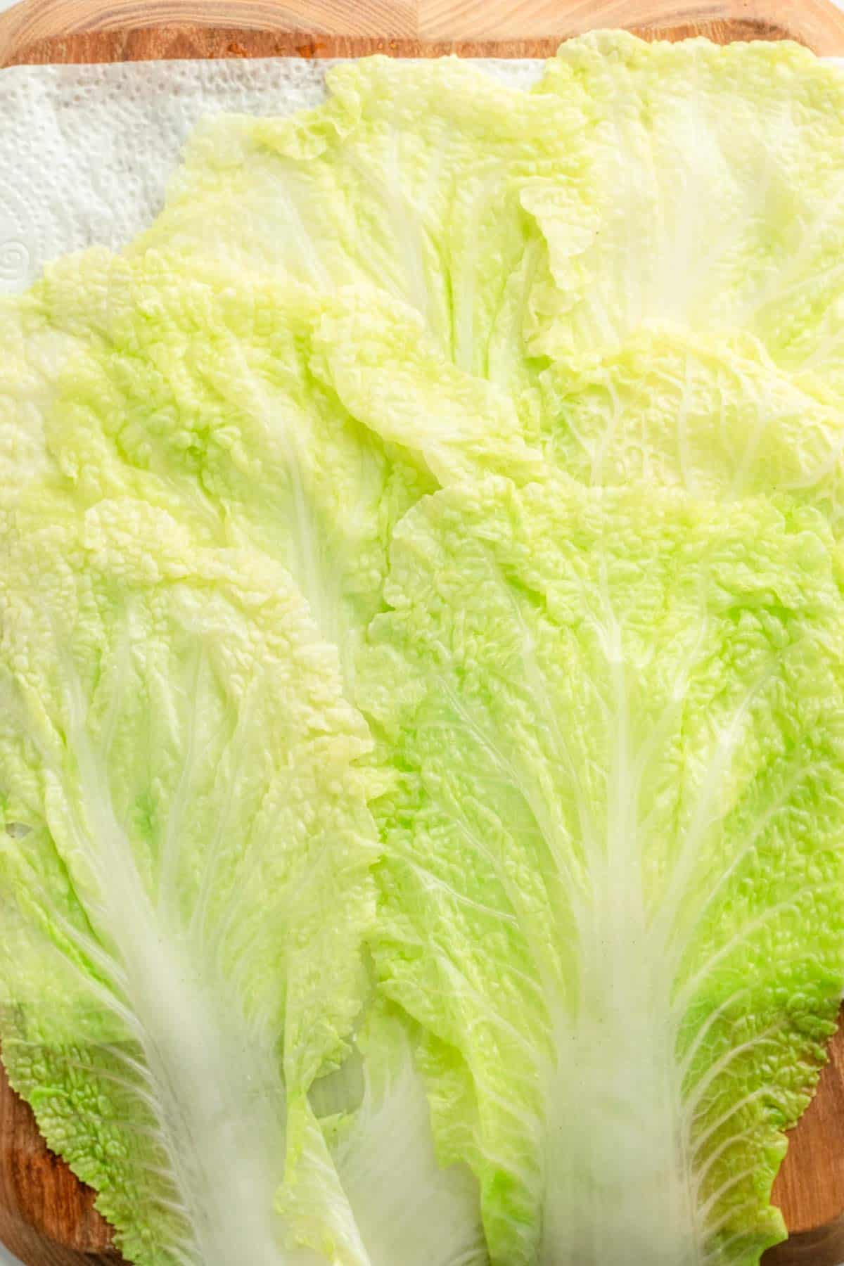 Napa Cabbage leaves.