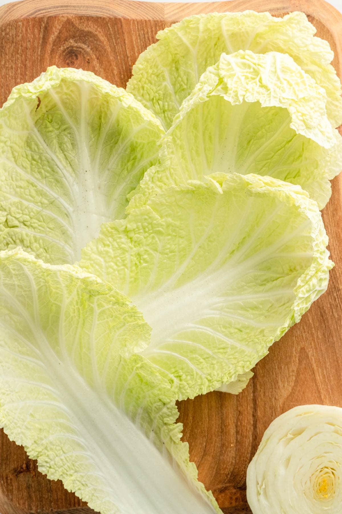 Napa Cabbage leaves.