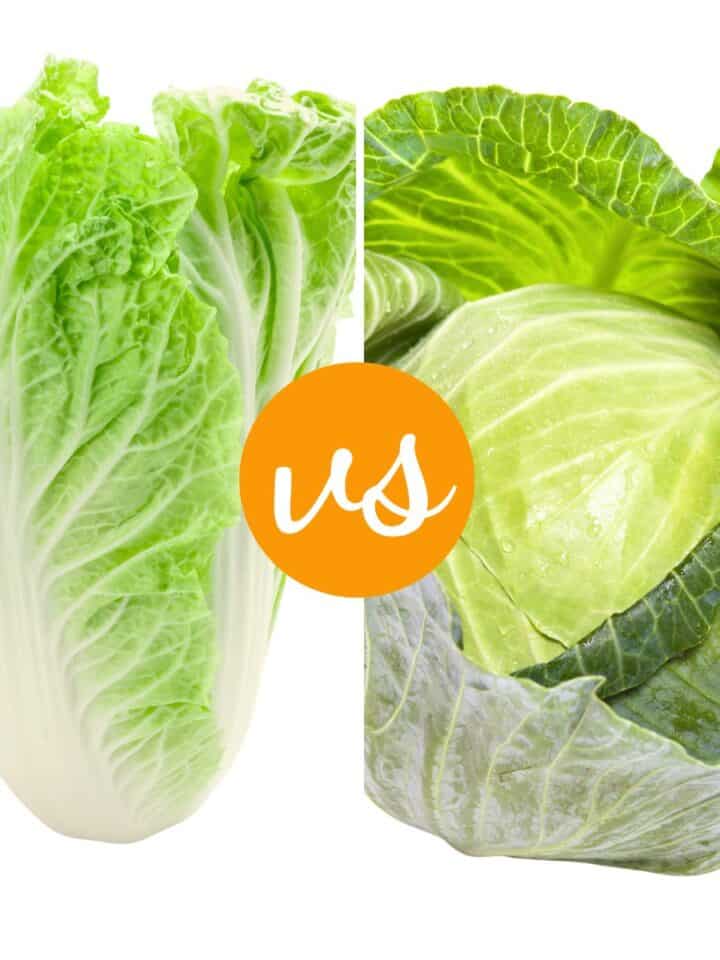 Napa cabbage vs Green Cabbage.