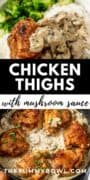 Creamy Mushroom Chicken Thighs Pinterest