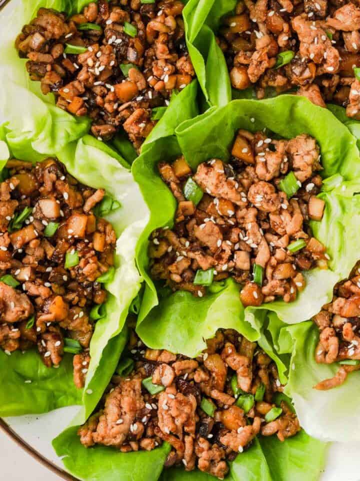 cropped-Chicken-Lettuce-Wraps-1-2.jpg