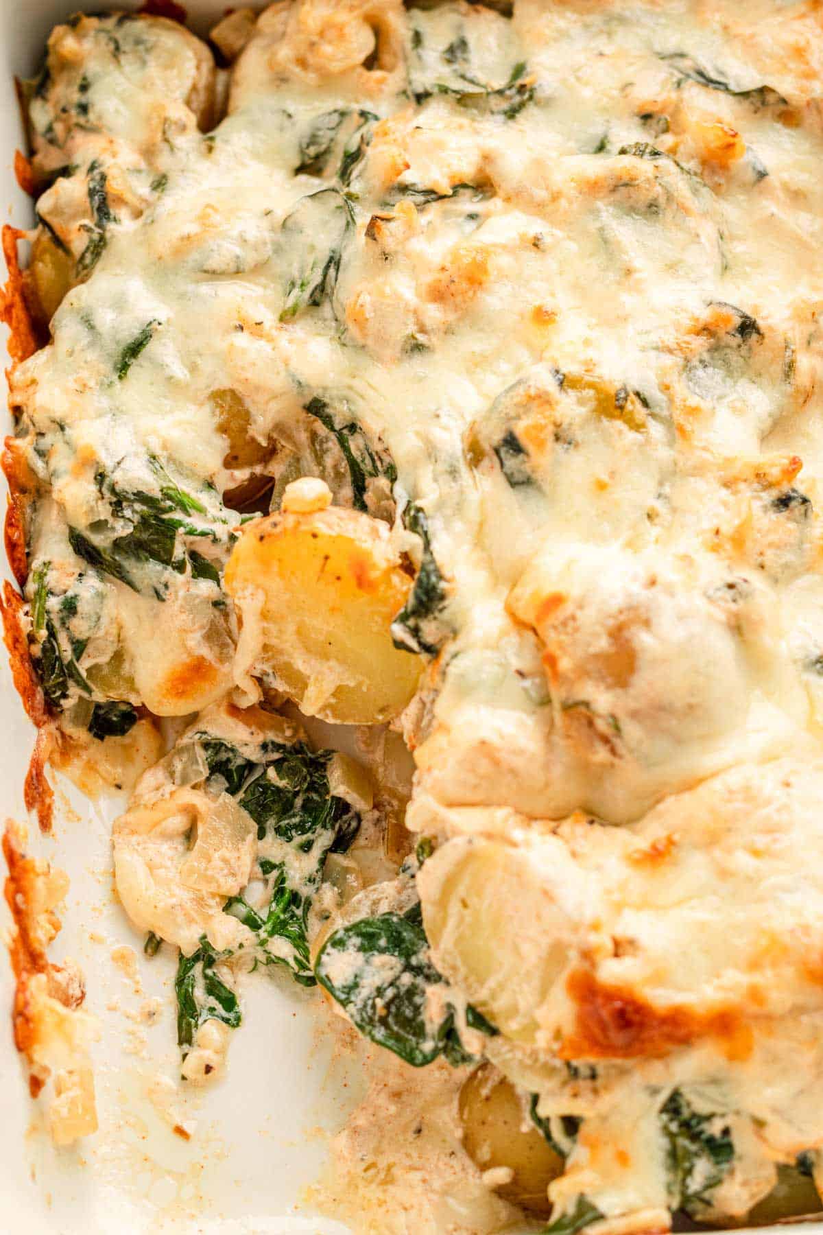 Creamy spinach potato casserole.