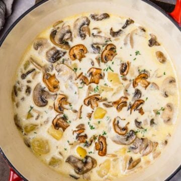 creamy potato mushroom soup in dutch oven